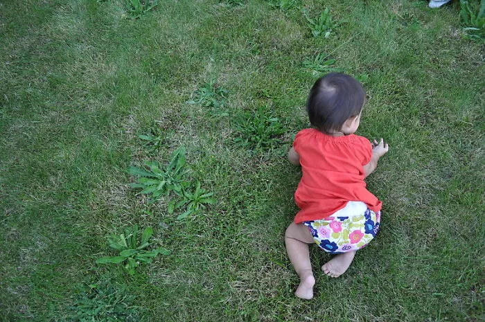 Babies Master Crawling Faster If There Are Pets At Home
