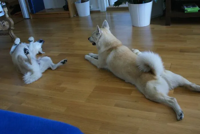 Inside = Floor, Outside = Ground