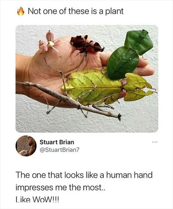 50 Funny Science Jokes And Memes That Don't Require An IQ Of 300 To Get