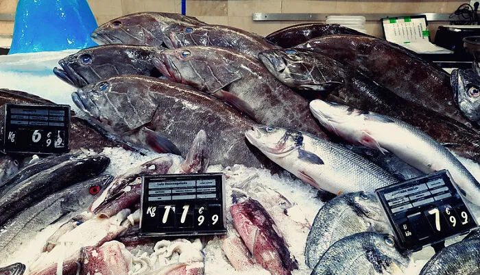 The Handling And Cleaning Of Fresh Fish