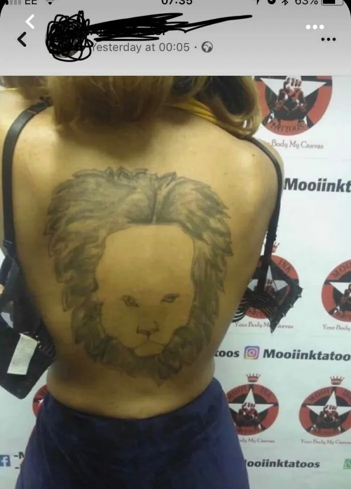 Dwight Shrute Lookin Lion