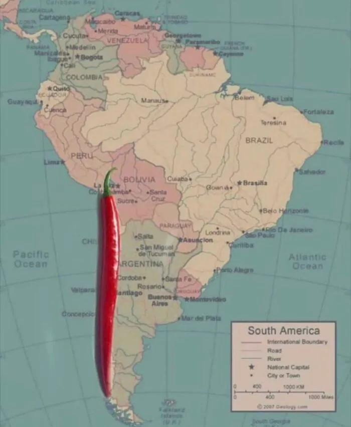 Muy acertado