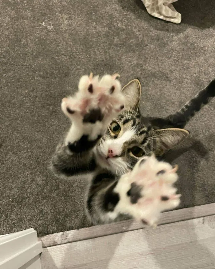 My Queen Reminding Me Who Owns My House