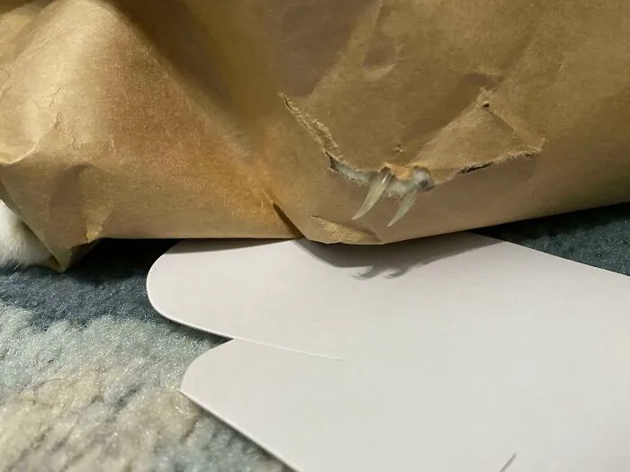 Una bolsa de papel con sorpresa
