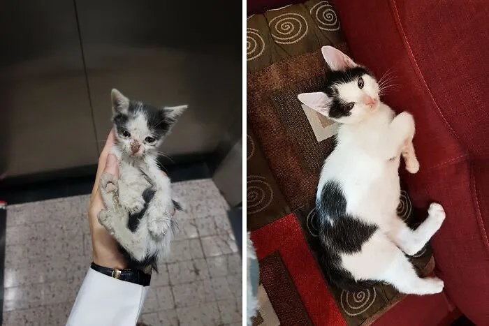 Lil Cutie Is Happy Now