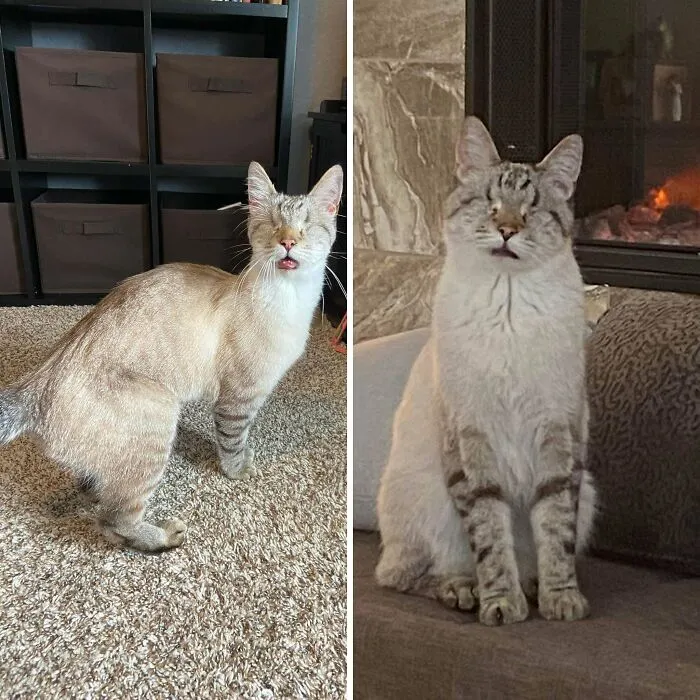 Such A Glow Up In Three Months!!!