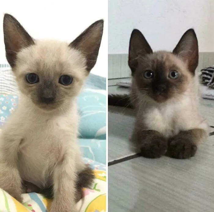 You Can Clearly See The Change In Her Eyes