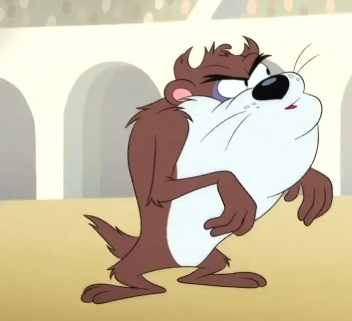 Taz