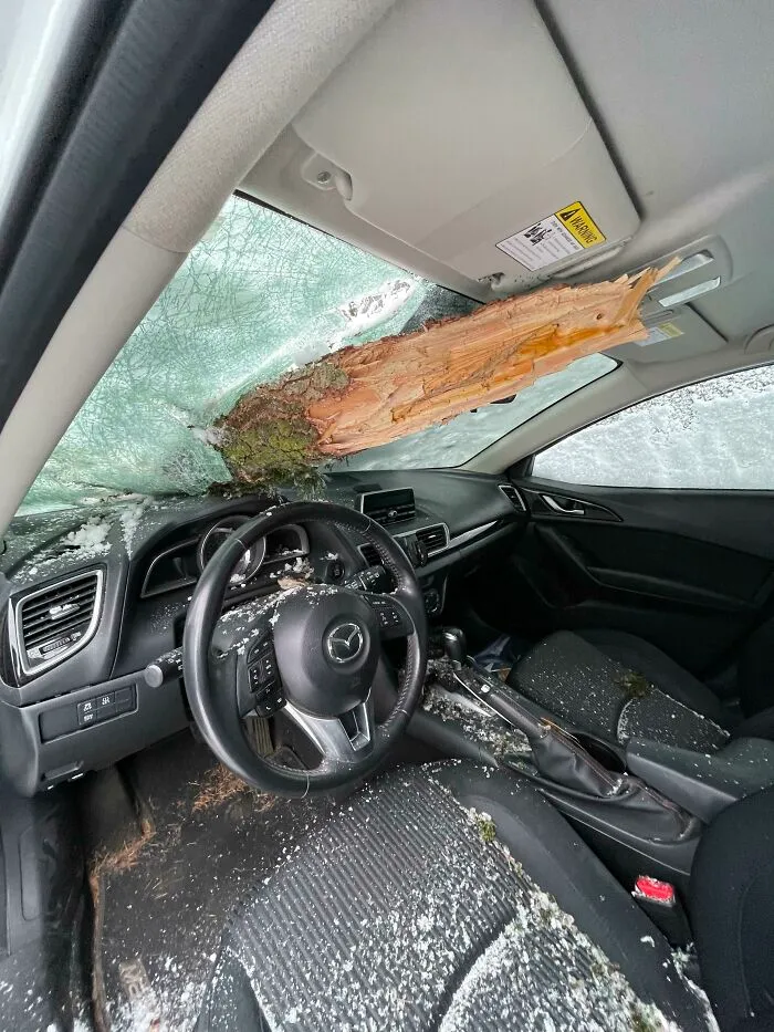 Menos mal que no me senté esta mañana en mi coche para quitarle el hielo