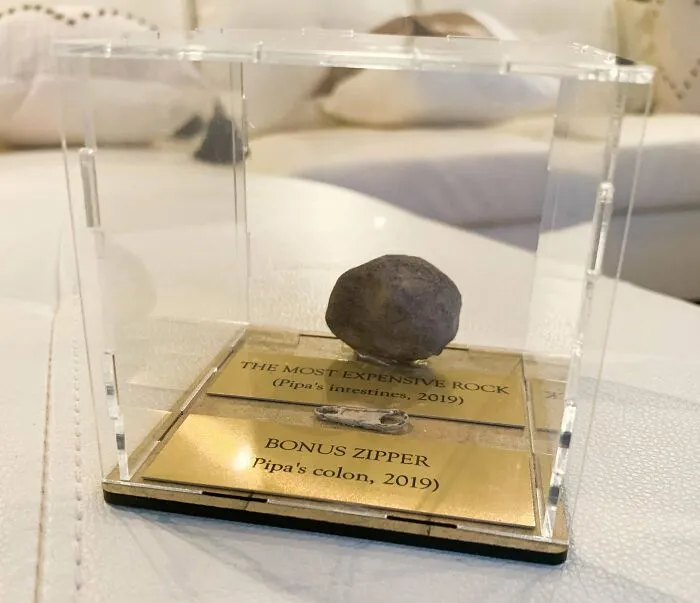 My Dog Had A 5k Surgery After Eating A Rock. I Decided To Display It Accordingly