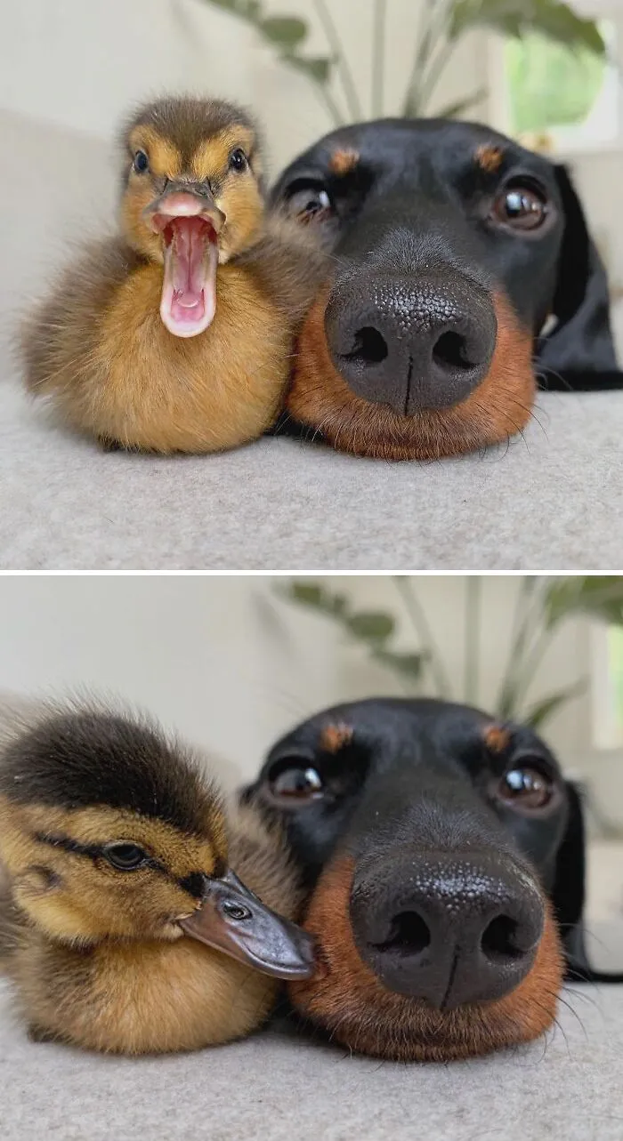 Best Friends Come In All Sizes!