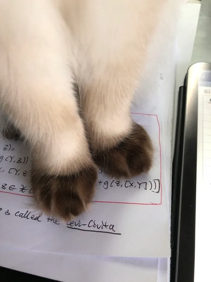Little Boots!