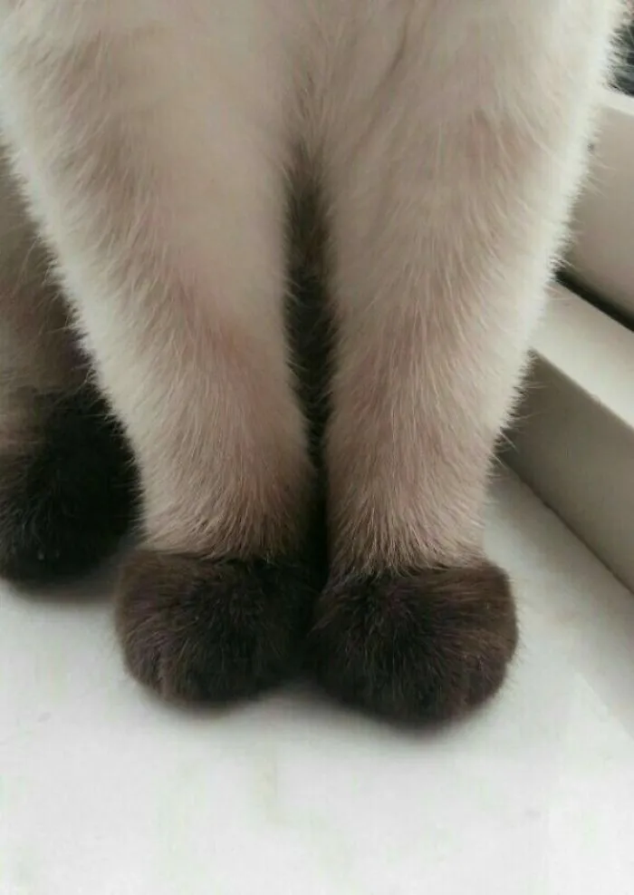 Graceful