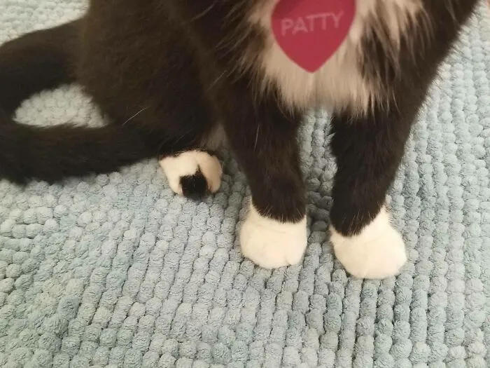 Patty's Plushy Kankles. She Has A Hole In One Of Her Kankle Socks