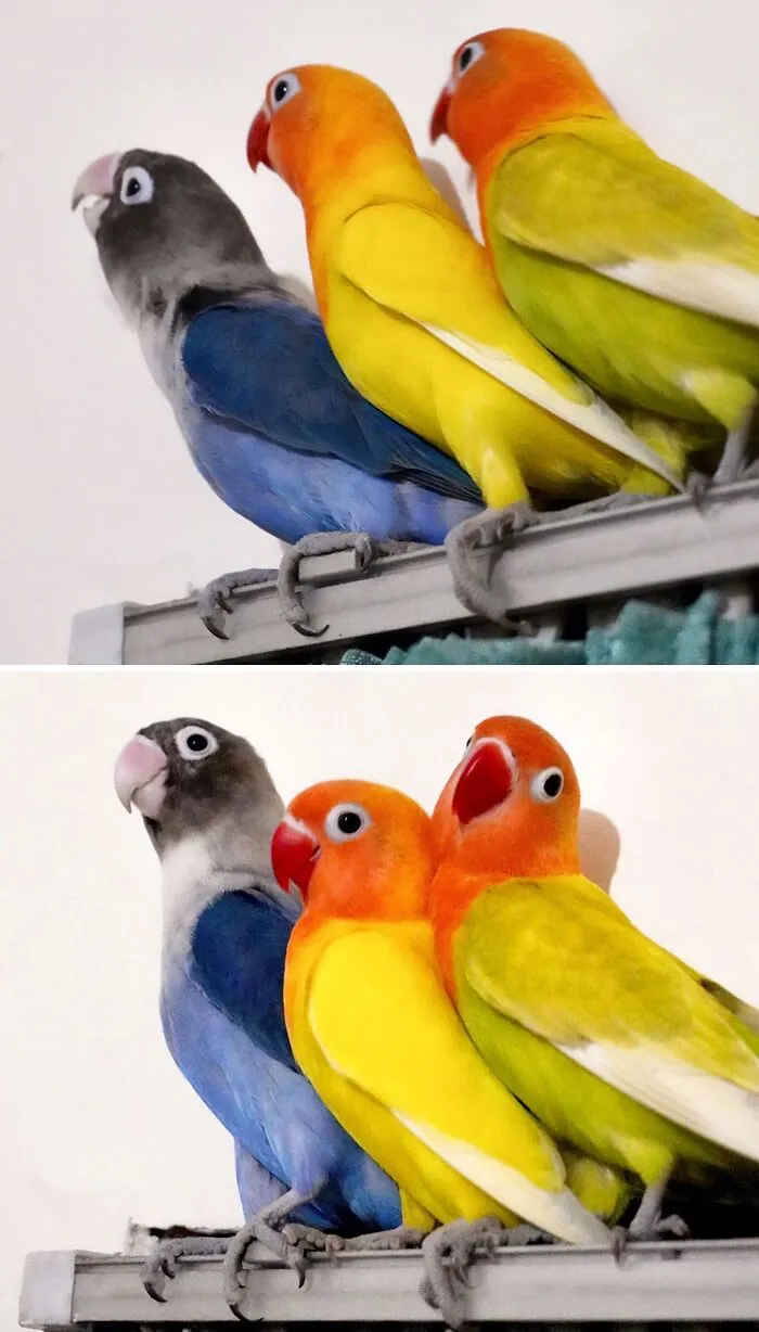 Strike That Pose