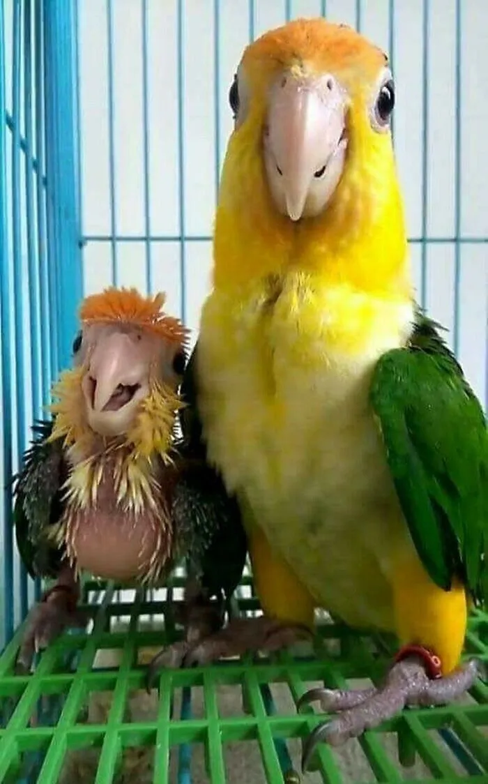 Mom & Baby