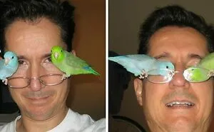 50 Parrots That Prove There Is Never A Dull Moment When Owning Them As A Pet