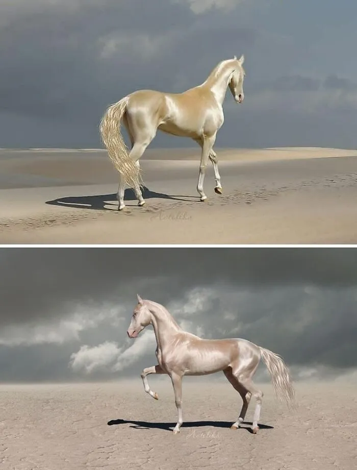 Caballo dorado de Turkmenistan