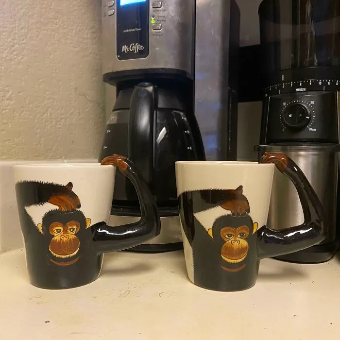 Hace 15 años, mi jefa me regaló una taza de chimpancé porque le recordaba a mí. Una década después, mi madre me regaló la misma taza por el mismo motivo