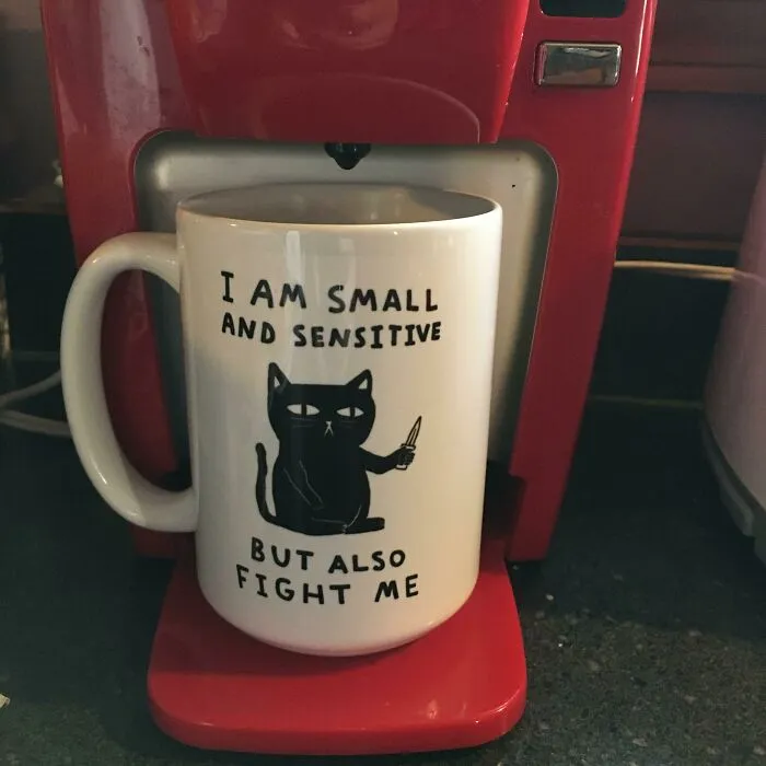 I Saw A Couple Of Other People Had This Mug On This Subreddit, So I Bought One For Myself