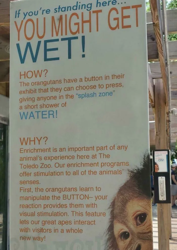 Orangutan Enrichment Center With Water Guns