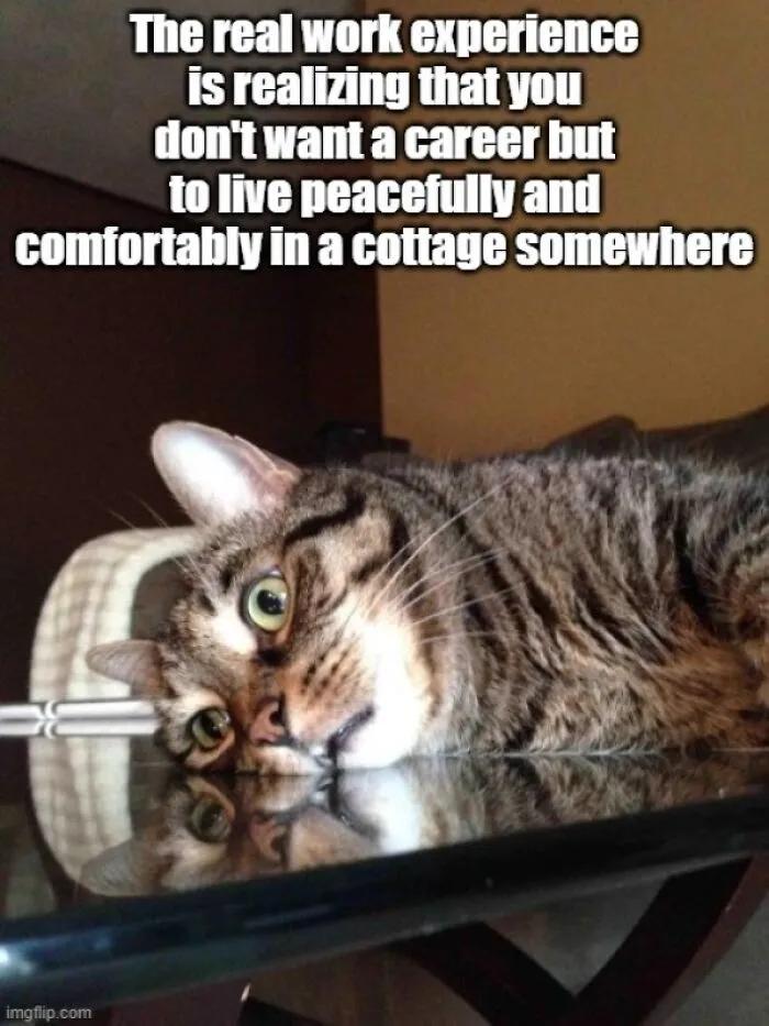 People Share 50 Painfully Hilarious Memes To Sum Up Adulthood