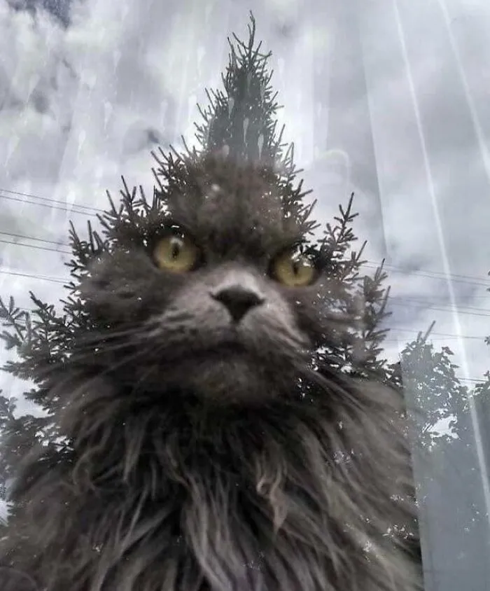 El  remake de 'El Grinch'