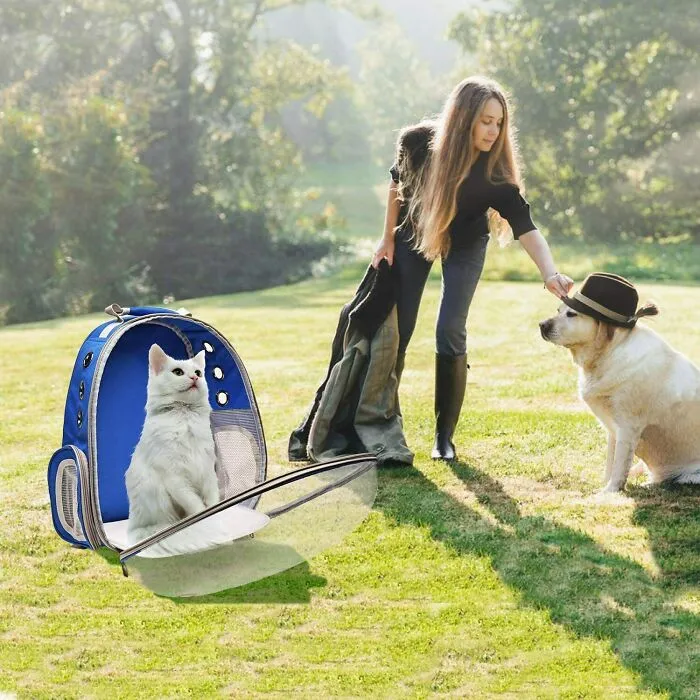 I Was Looking For A Cat Backpack And Found This
