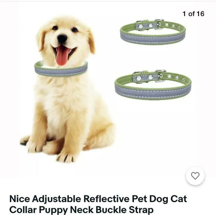 Argue All You Want But That Puppy Is Wearing That Collar