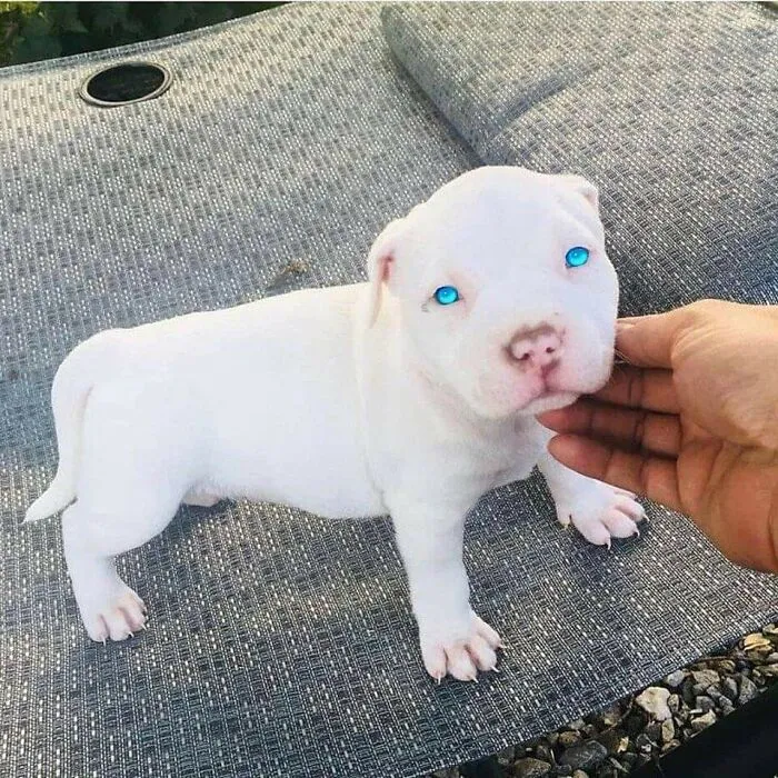 "Look At Those Amazing Eyes! They're Mesmerizing!"
