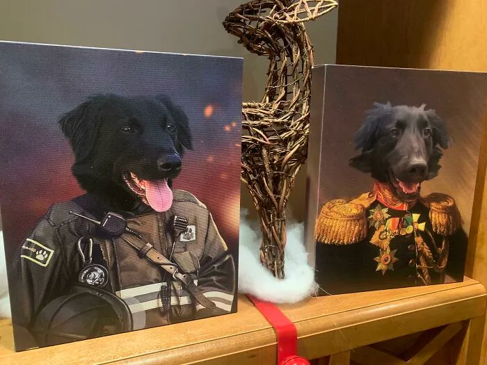 My Wife And I Got Each Other The Same Gift For Christmas By Accident
