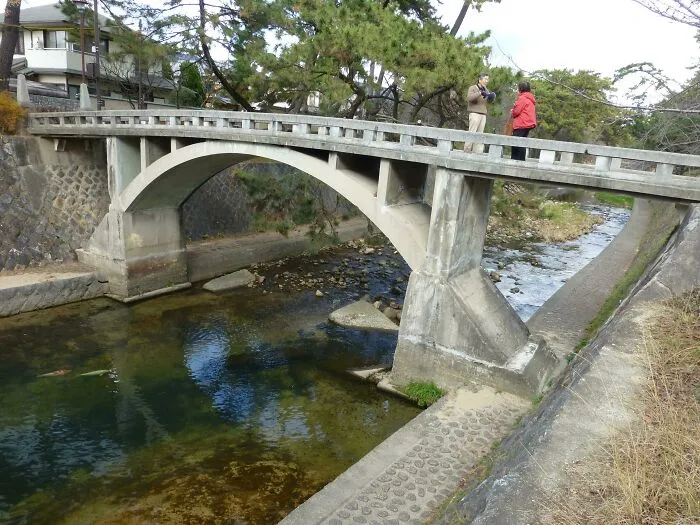 Un puente con barandillas que llegan a las rodillas