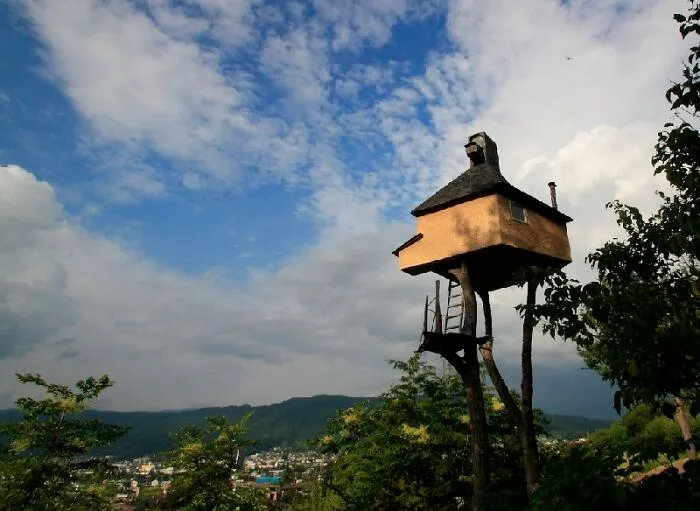 I Always Wanted A Treehouse