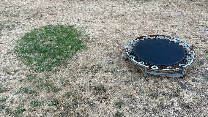 Trozo de césped cubierto por la cama elástica durante la ola de calor en Reino Unido
