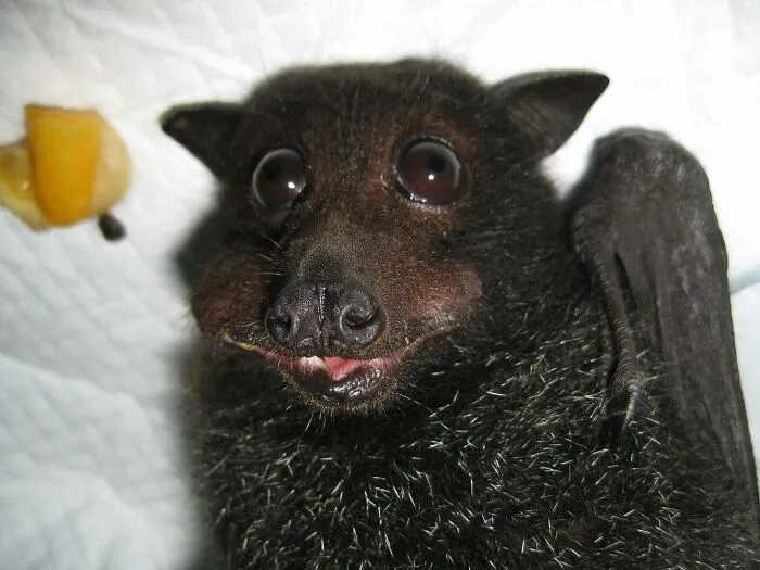 Look At This Smile