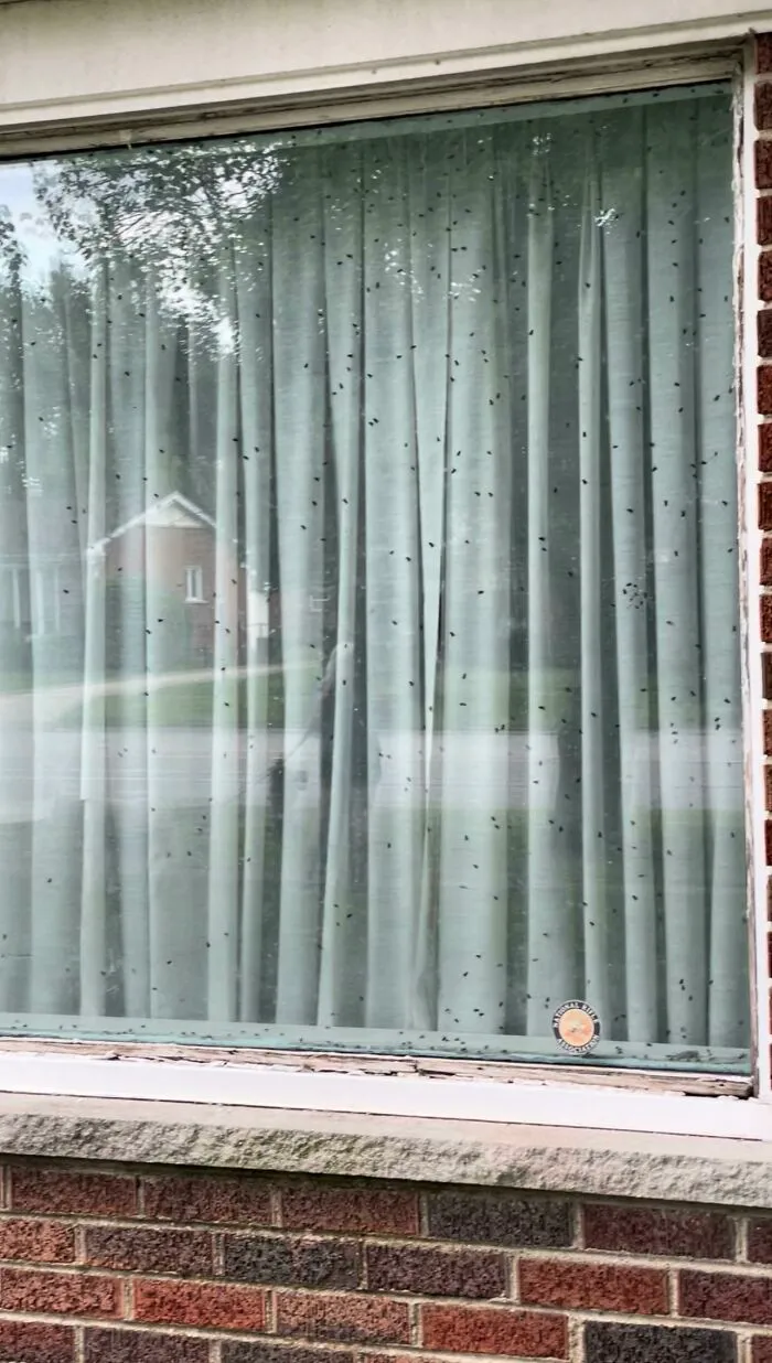 What're The Chances My Neighbors House Has A Dead Body?