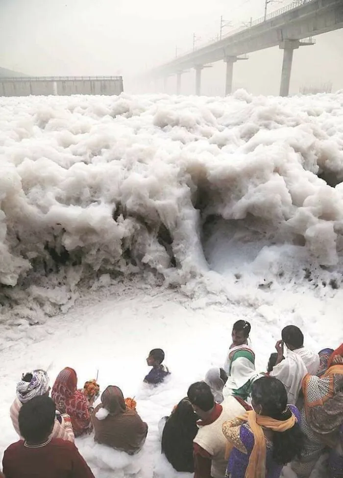 People Offering Prayers At The Yamuna River, India, Which Is Frothing From Industrial Waste