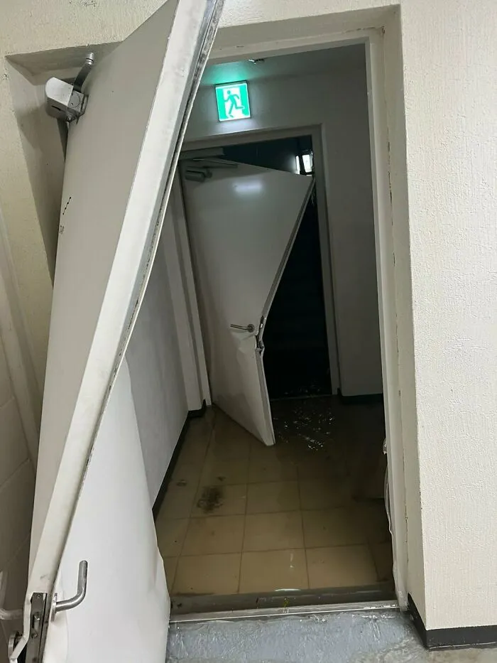 Something Got Out