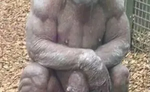 ‘Oddly Terrifying’: 40 Of The Most Unsettling Images To Give You The Creeps (New Pics)