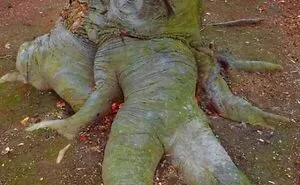 ‘Oddly Terrifying’: 40 Of The Most Unsettling Images To Give You The Creeps (New Pics)