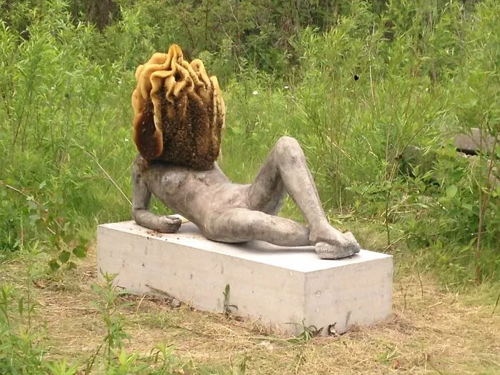 Statue Was Invaded By Bee's And This Happend