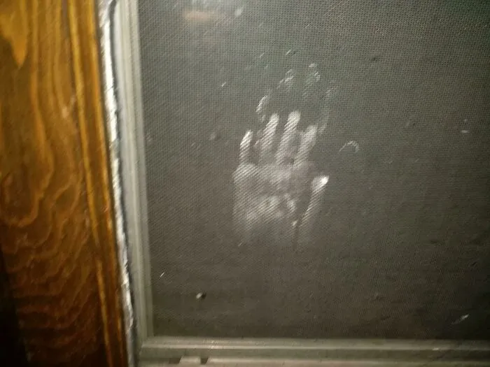 Last Night I Hear A Tapping And Snaps. Looked At The Window And..this Is On The Outside. Not The Inside.(I Am In A Two Story House, Second Floor. Under The Window Is A Roof Above The Front Door)