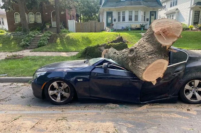 Mother Nature Decided That This BMW Should Be A Convertible