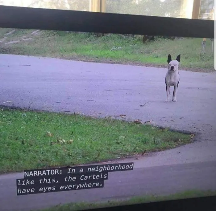 Not All Dogs Have Wholesome Jobs