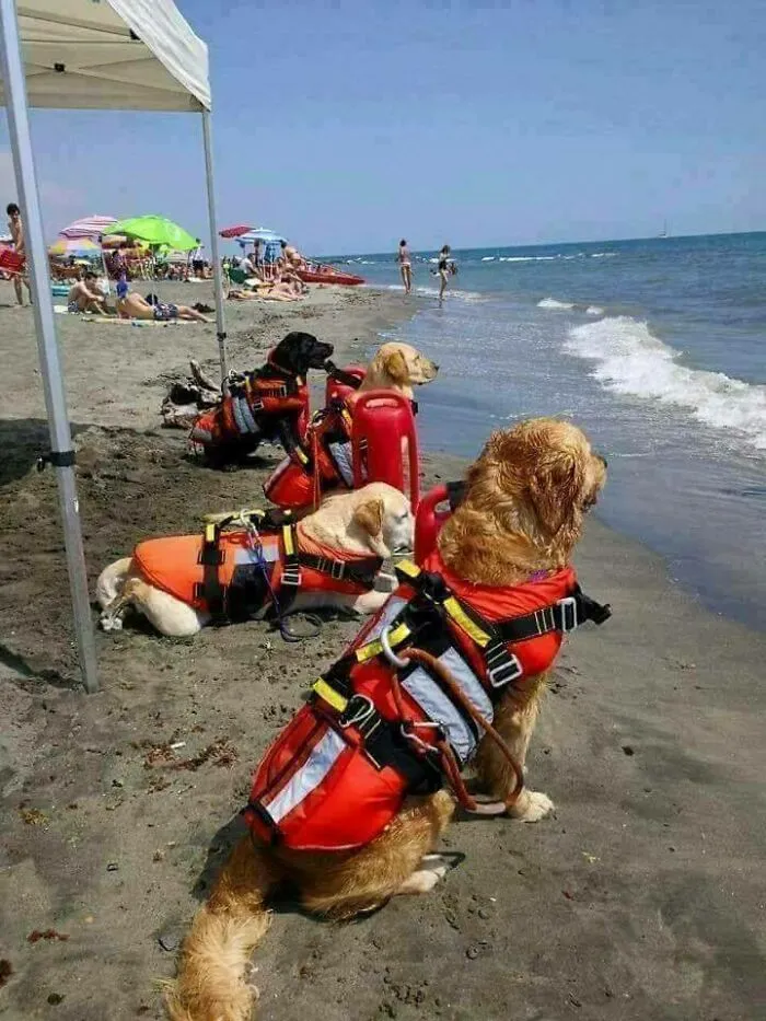 Socorristas listos para salvar el día en Croacia