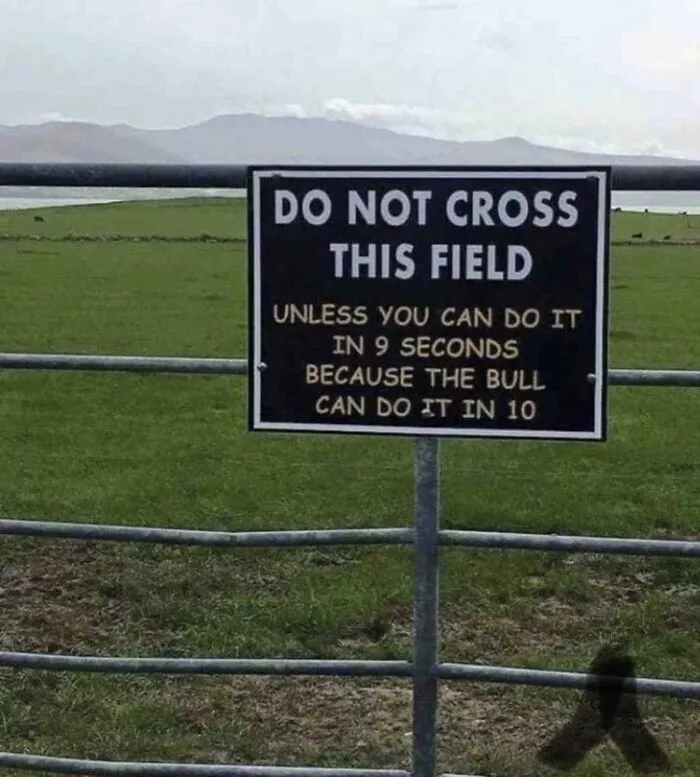 You Heard