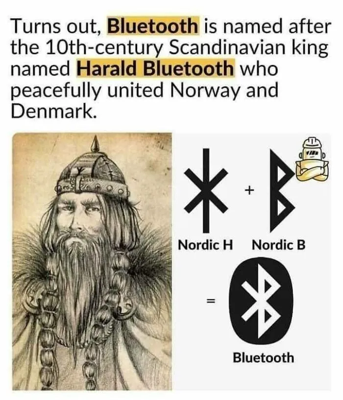 Memes-History-For-The-Witty