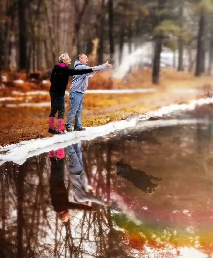 The Owners Asked To Superimpose The Image Of Timber, Their Recently Departed Dog, Into The Photo As They Spread His Ashes Into A Pond. This Is The Result
