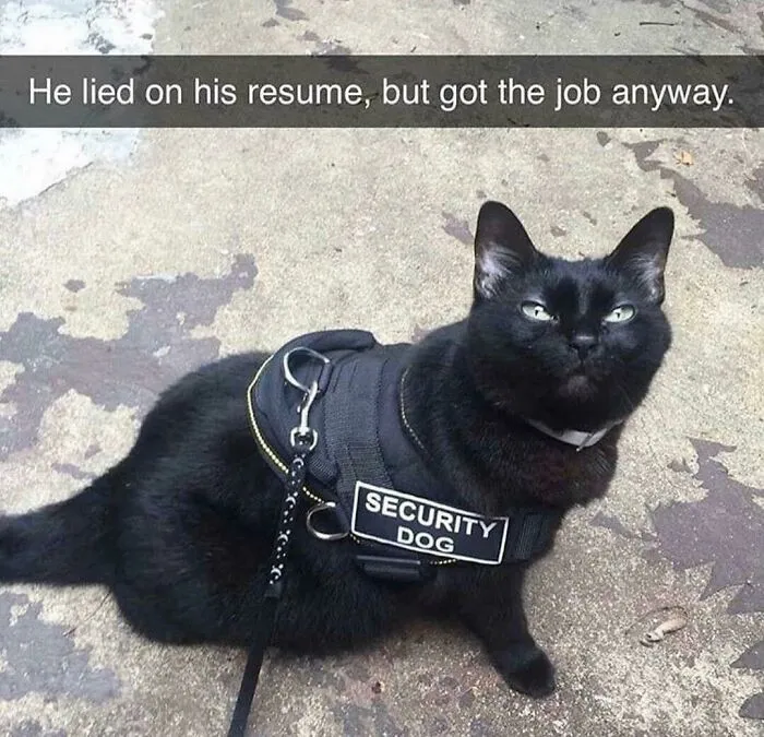 He Can Do Anything