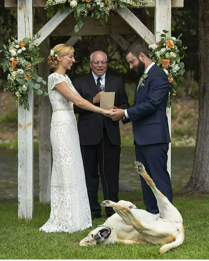 Someone Isn't Taking Whole Wedding Seriously
